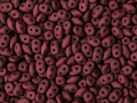 ESNEON MAROON
