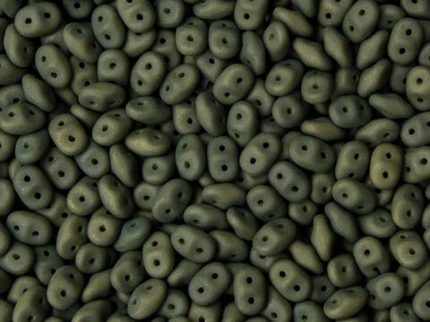 ESNEON MUSHROOM