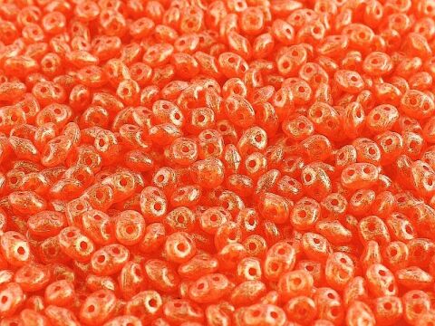 STARDUST HYACINTH